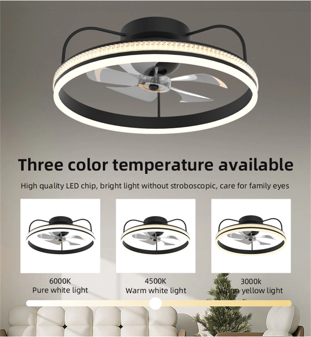 Smart Control LED Ceiling Fan 6 Fan Speed Dimmable Chandelier Light